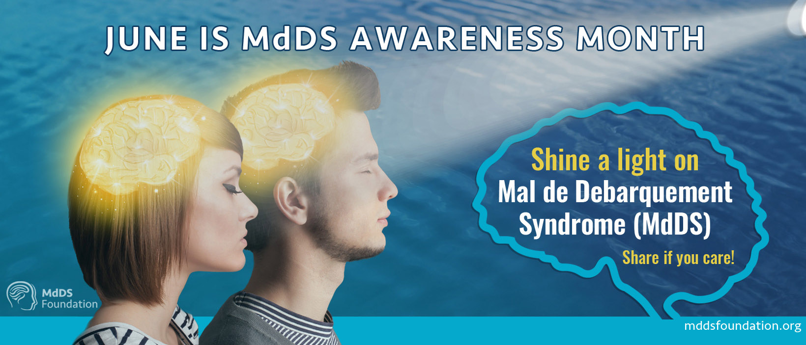 Shine a Light on MdDS banner