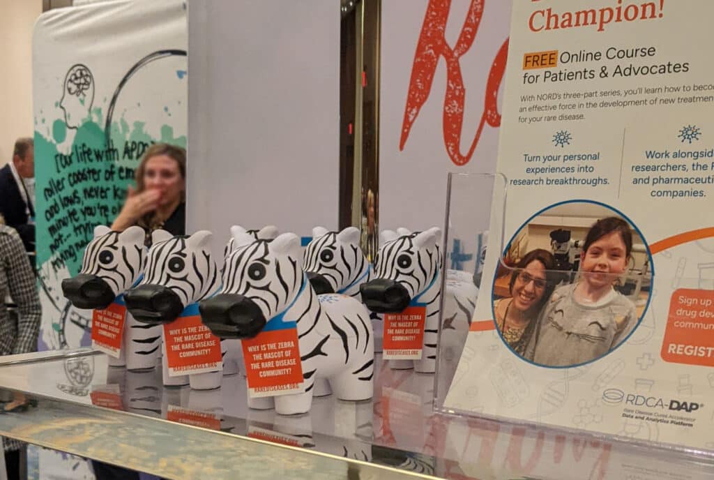 Zebra shaped stress balls on a glass shelf